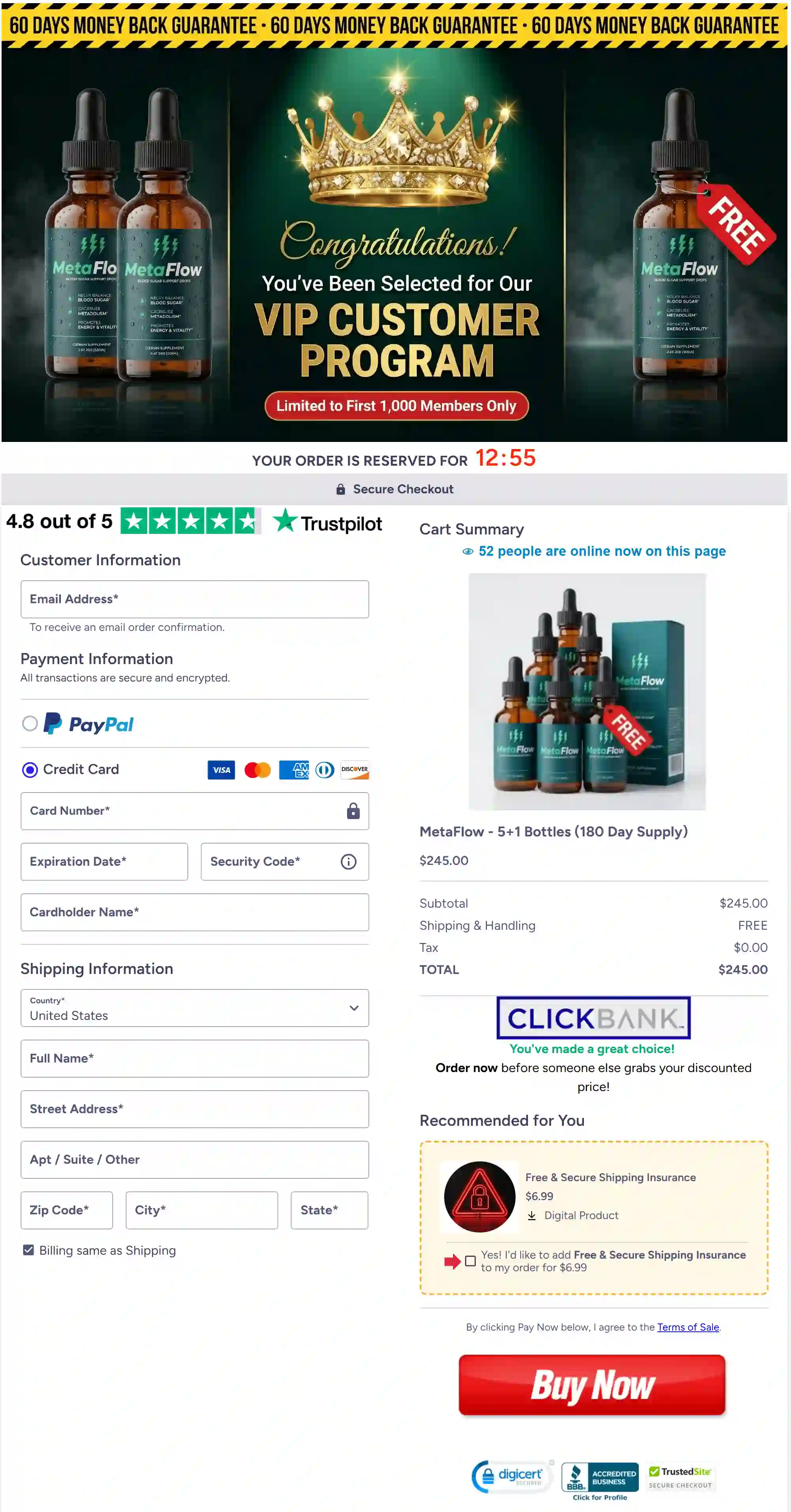 MetaFlow secure checkout and encrypted payment system