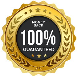 MetaFlow 60-day money-back guarantee badge